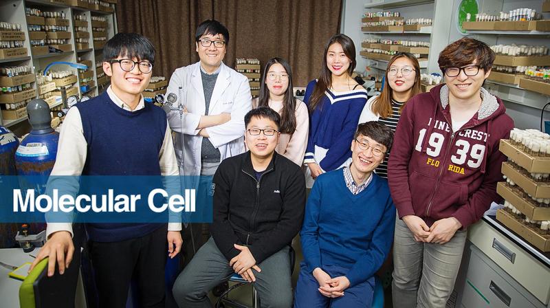 생체시계 유전자로 루게릭병 원인 찾는다